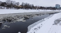 Žiema (Paulius Peleckis/ BNS nuotr.)