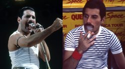 Freddie Mercury (nuotr. Vida Press)