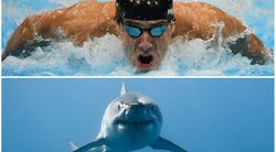 Michaelas Phelpsas lenktyniaus su rykliu (tv3.lt fotomontažas)