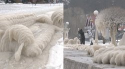 Nida, apskardas, ledo skulptūros (tv3.lt koliažas)