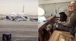 Nemalonus incidentas skrydžio metu: šuns poelgis privertė lėktuvą neplanuotai nusileisti (nuotr. SCANPIX) tv3.lt fotomontažas