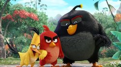 „Piktieji paukščiai“ iš kompiuterinio žaidimo kraustosi į kino ekranus (nuotr. „Acme Film“ arhyvo)