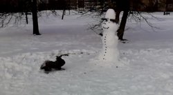 Nufilmavo keistą šuns poelgį: puolė sniego senį (nuotr. stop kadras)