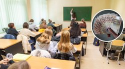 Privatūs darželiai ir mokyklos – išskirtinis ugdymas už 6,7 tūkst. eurų: kaip išsirinkti? (FNTT / Sauliaus Žiūros nuotr. koliažas)  