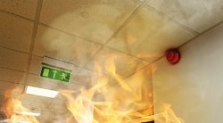 „Žalvariui“ gaisro padarytai žalai kompensuoti – beveik 2 mln. eurų (nuotr. Shutterstock.com)