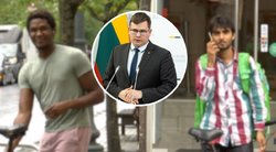 Lietuvoje trūksta darbo rankų, bet įsileisti imigrantus nori ne visi: ginasi, kad jie kelia grėsmę nacionaliniam saugumui (tv3.lt koliažas)