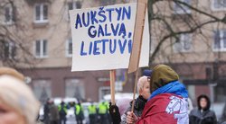 Sausio 13-osios minėjime – būrys protestuotojų (Fotodiena/ Viltė Domkutė)