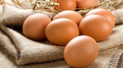Kiaušiniai (nuotr. Shutterstock.com)