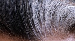 Pastebėjote pirmuosius žilus plaukus? Štai kas lemia jų atsiradimą (nuotr. 123rf.com)