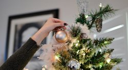 Pataria dekoratorė: kaip puošti Kalėdų eglutę, kad ji taptų namų pažiba? (nuotr. Pexels)
