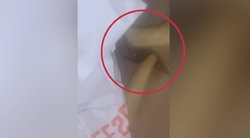Moterį pašiurpino vaizdas „McDonalds“ restorane – bulvytėse ropojo gyvis  