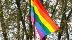 Ministerija svarsto skųsti Konstituciniam Teismui draudimą skatinti LGBTIQ šeimos sampratą (nuotr. Tv3.lt/Ruslano Kondratjevo)