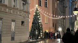 Lapkričio pradžioje Vilniaus senamiestyje išdygo Kalėdų eglutė: kaip reikiant nustebino gyventojus (nuotr. Made In Vilnius)