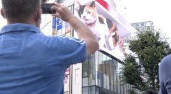 Nuo pandemijos išvargusius japonus linksmina milžinišku katinu: užsimanė tokios namie (nuotr. stop kadras)
