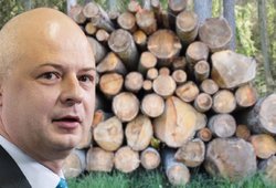 Aplinkosaugininkus piktina aplinkos ministerijos planai: „Miškas taps mediena, kurią reikia pasiimti“