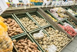 Populiariausia lietuviška daržovė brangs? Ūkininkai užsimena apie kainų pokyčius