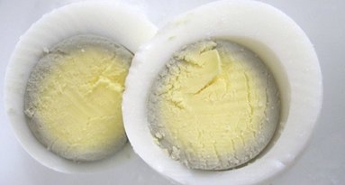 Kiaušinio trynys (nuotr. stop kadras)  