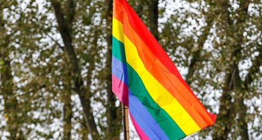 LGBT vėliava (nuotr. Tv3.lt/Ruslano Kondratjevo)