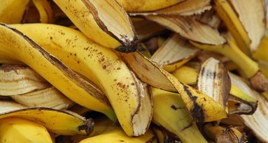 Neišmeskite bananų žievių: nustebsite, kur jos pravers (nuotr. 123rf.com)