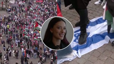 Protestai prieš Izraelį (tv3.lt koliažas)