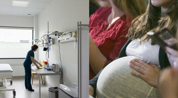 Parvovirusas itin pavojingas nėščiosioms (tv3.lt koliažas)