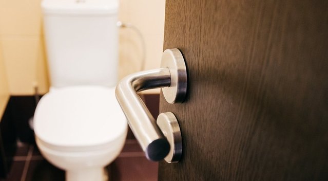 Pamatęs, kas slepiasi tualete, vyras išbėgo klykdamas: vaizdo neužmirš ilgai  (nuotr. Shutterstock.com)