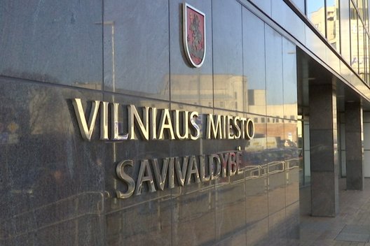 Vilniaus miesto savivaldybė (nuotr. stop kadras)