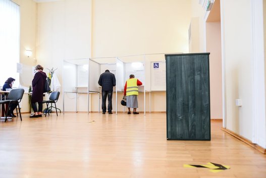 Seimo rinkimai 2020 (nuotr. Fotodiena.lt)