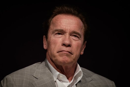 Arnoldas Schwarzeneggeris (nuotr. Vida Press)