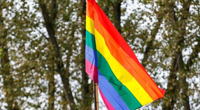 LGBT vėliava (nuotr. Tv3.lt/Ruslano Kondratjevo)