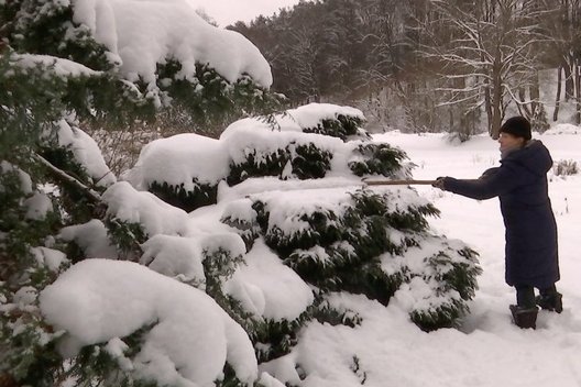 Sniegas pavojingas ne tik keliuose – soduose taip pat (nuotr. stop kadras)