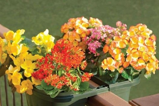 Gėlės balkone (nuotr. pinterest.com)