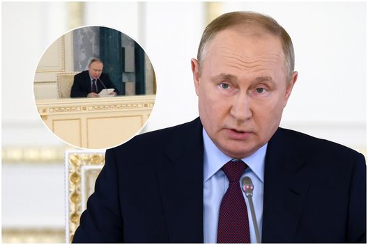 Įvertino V. Putino kūno kalbą (nuotr. tv3.lt fotomontažas)  