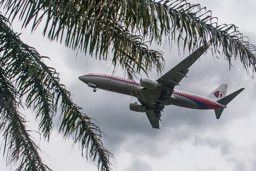 “Malaysia Airlines“ lėktuvas (nuotr. SCANPIX)