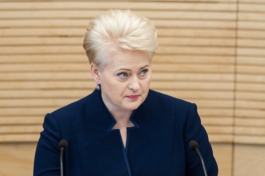 Dalia Grybauskaitė (nuotr. Fotodiena.lt)