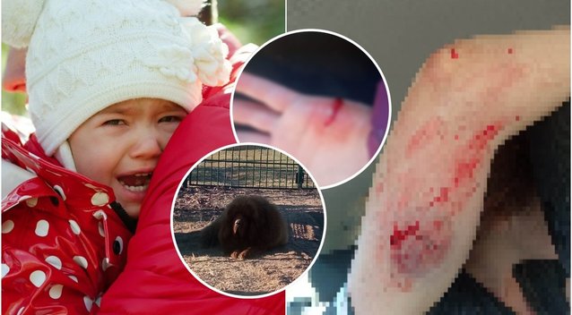 Pasivaikščiojimas Kernavėje virto siaubu: 6-metė su mama patyrė košmarą