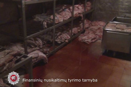 Vaizdai iš mėsos perdirbimo įmonės (nuotr. FNTT)