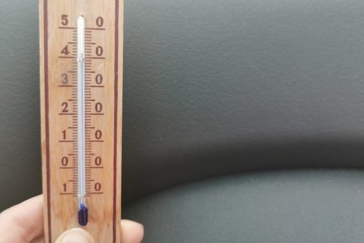 Vilnietė užfiksavo temperatūrą mašinoje (nuotr. asm. archyvo)