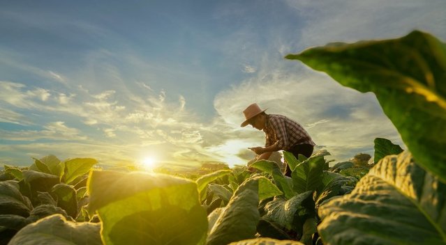 Ūkininkas (nuotr. Shutterstock.com)