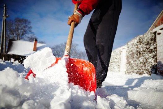 Sniego kasimas  (nuotr. Shutterstock.com)