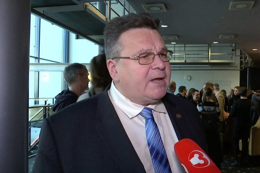 Užsienio reikalų ministras Linas Linkevičius filmo premjeroje (nuotr. stop kadras)