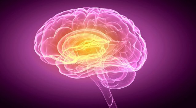 Neuromokslininkė ragina vengti 3 įpročių: pagerins smegenų veiklą (nuotr. 123rf.com)