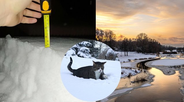 Žiema, sniegas (Orai ir klimatas Lietuvoje nuotr.)  