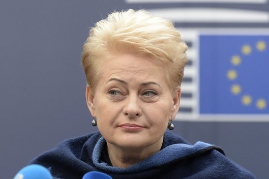 D. Grybauskaitė (nuotr. SCANPIX)