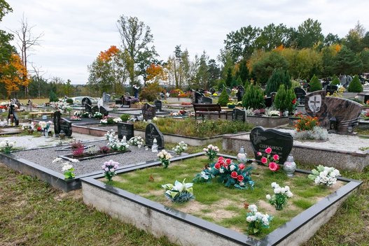 Pamatykite, kaip atrodo kapavietės prieš Vėlines (nuotr. Tv3.lt/Ruslano Kondratjevo)
