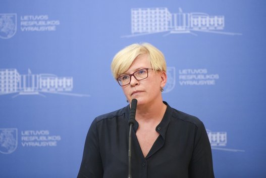 Ingrida Šimonytė (nuotr. Fotodiena/Justino Auškelio)