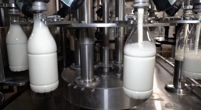 Parodė, kaip pienas atkeliauja iki parduotuvių lentynų: štai, kam kapsi didžiausi pelnai (nuotr. stop kadras)