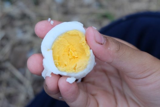 Kiaušinių valgymas (nuotr. Shutterstock.com)