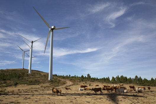 Vėjo elektrinė (nuotr. Fotolia.com)