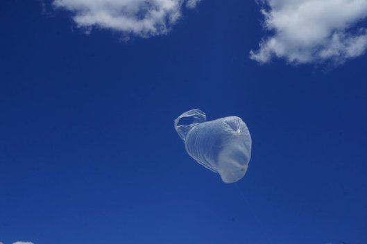 Šiukšlėmis tapę plastikiniai maišeliai teršia gamtą (Nuotrauka – organizatorių)  